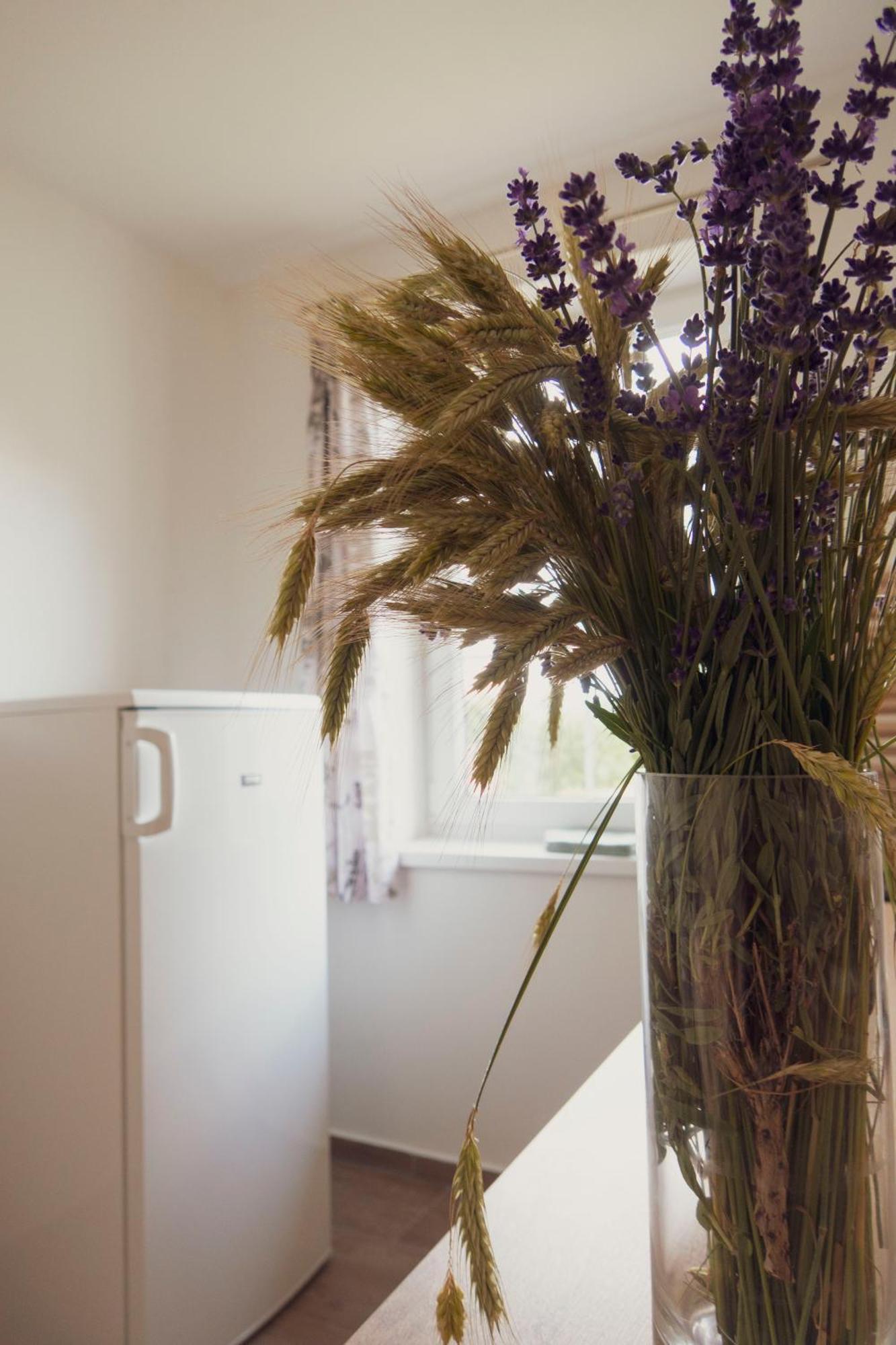 Na Kopecku Apartment Cerny Dul